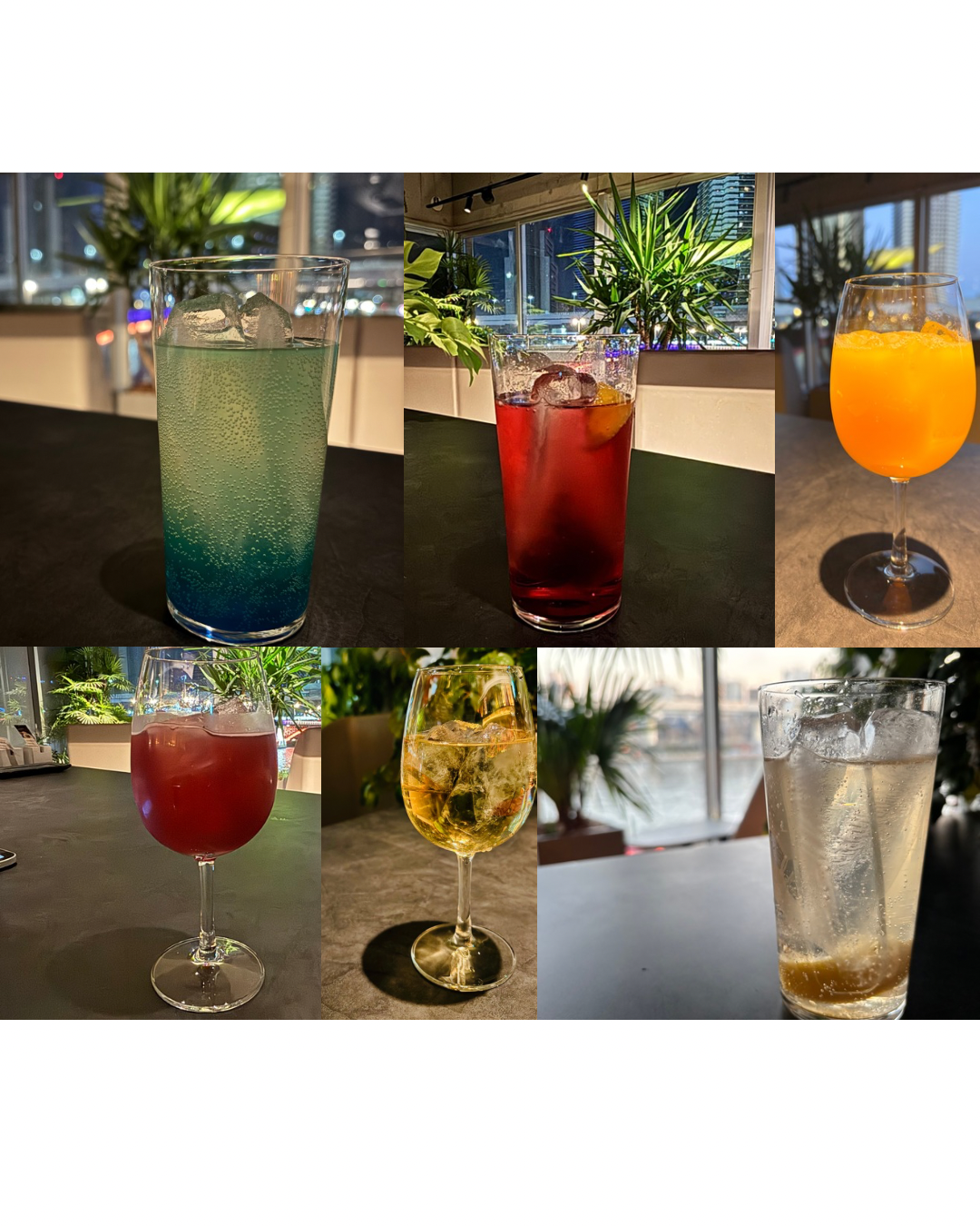 充実の飲み放題プラン